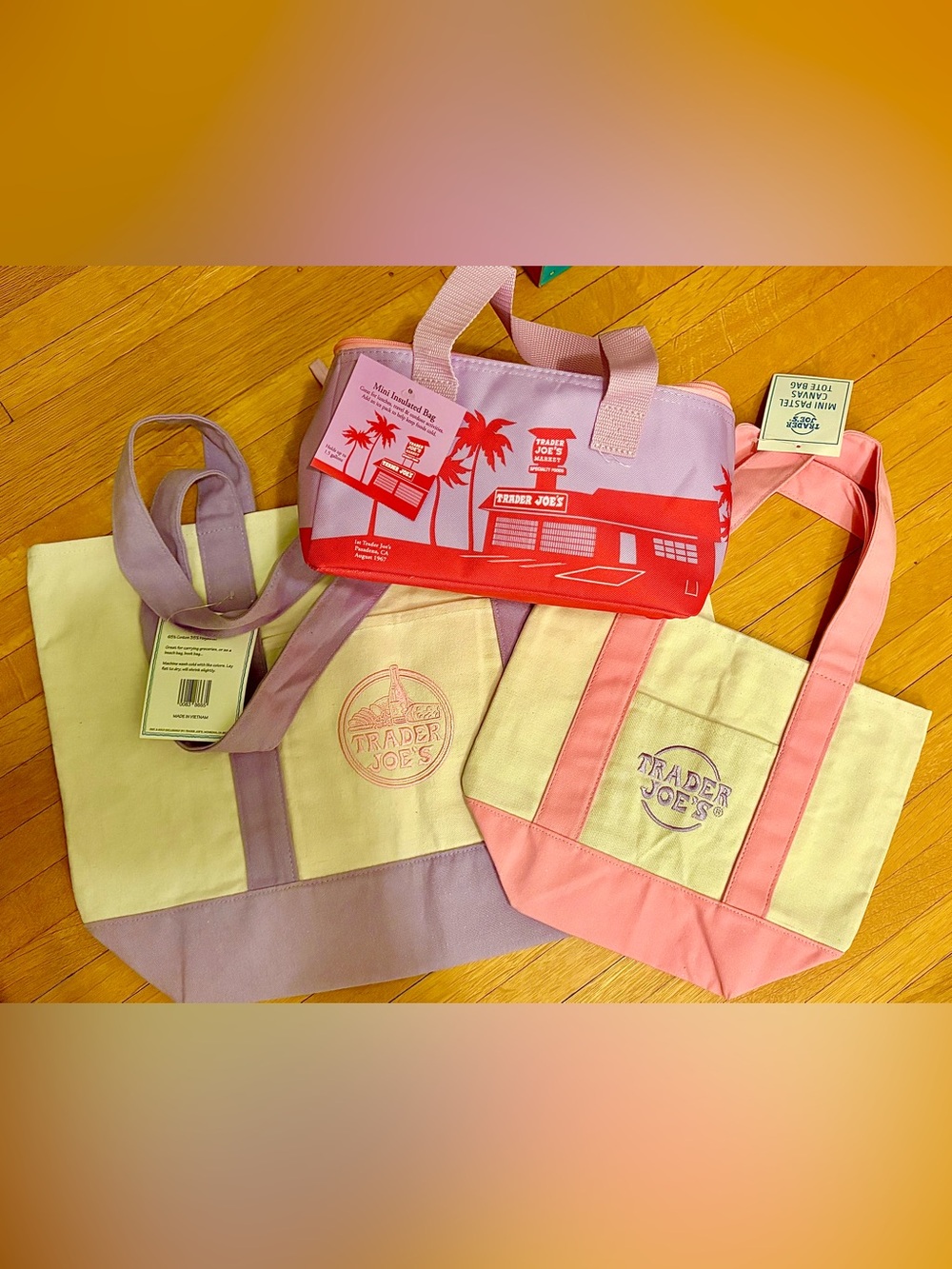 Trader Joe's Canvas Bag Large & Mini + Colorful Insulated Mini Bags.